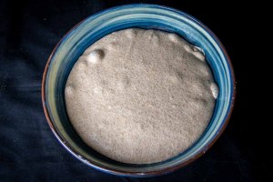 Pain de campagne au levain, pointage | Mon Levain