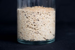 Votre premier levain | Mon Levain