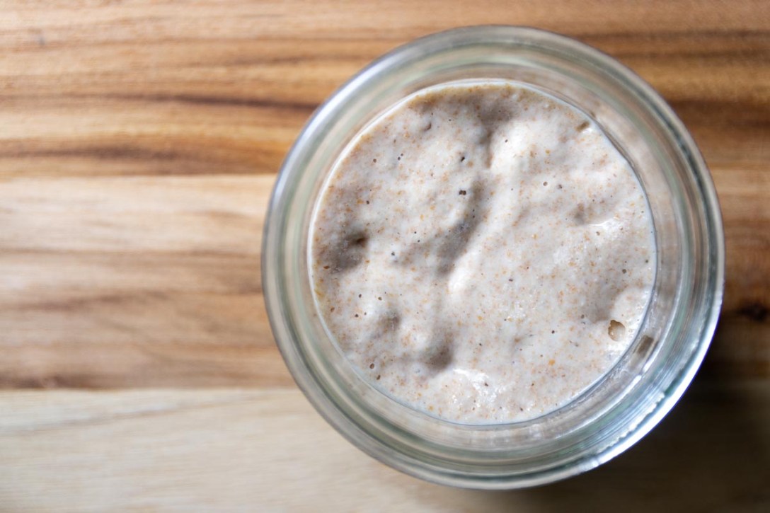 Levain de blé liquide | Mon levain